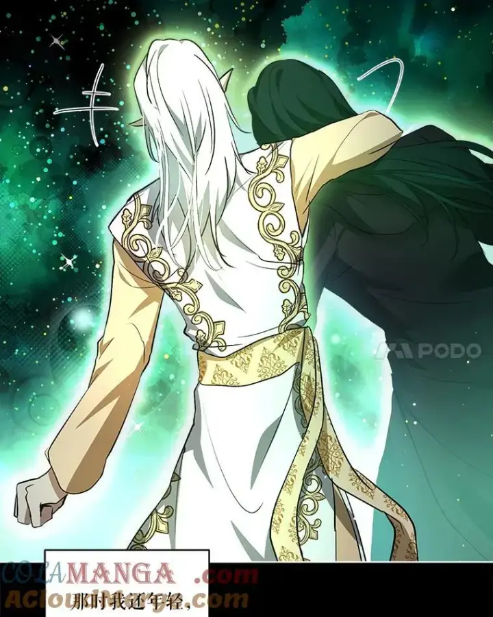 《重生为神兽宝宝》34.往事图49