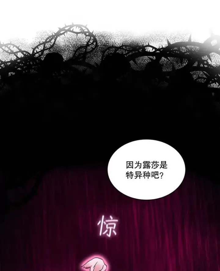 《重生为神兽宝宝》34.往事图76