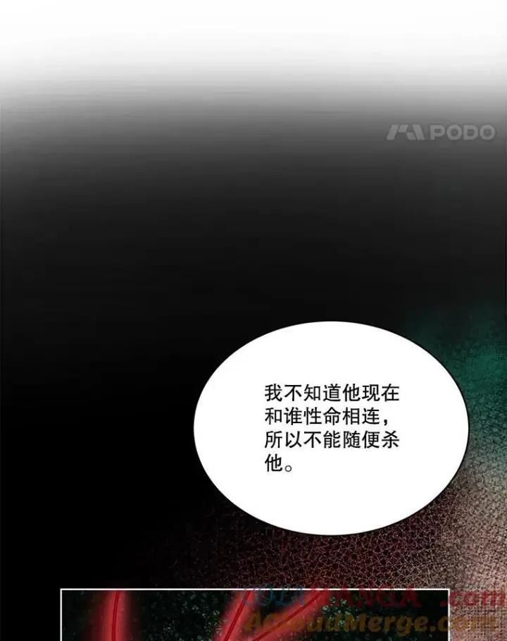 《重生为神兽宝宝》34.往事图97