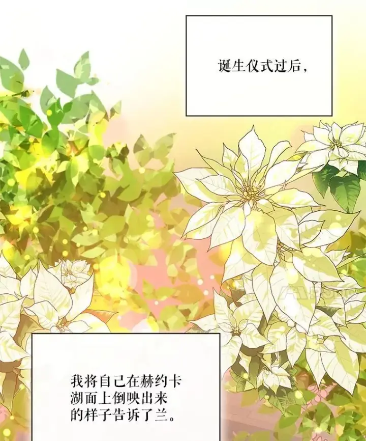 《重生为神兽宝宝》38.筑起高墙图39