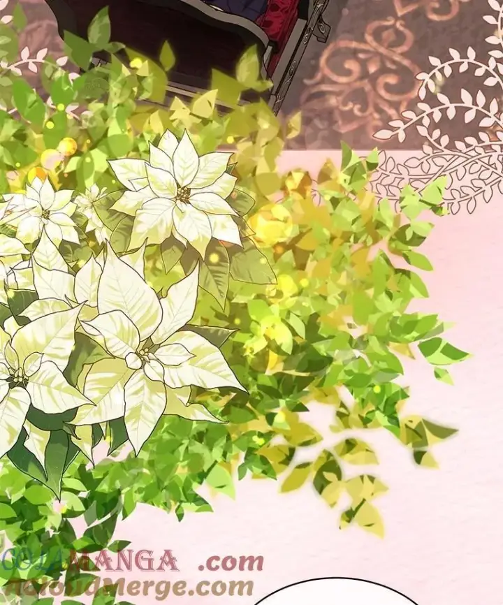 《重生为神兽宝宝》38.筑起高墙图41
