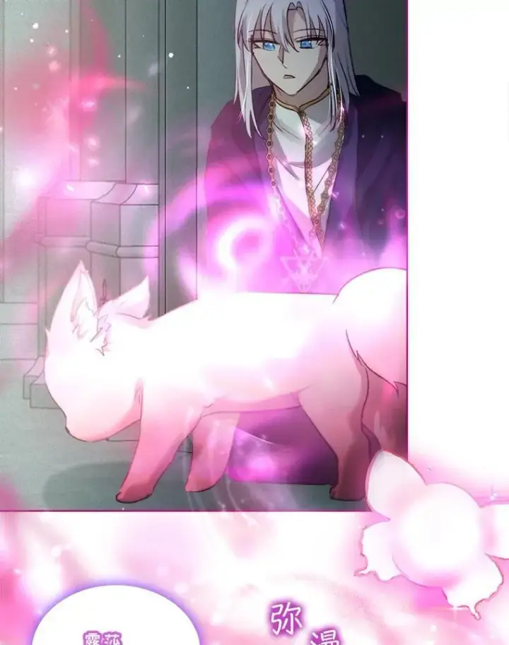 漫画《重生为神兽宝宝》42.意外的相遇第104张图