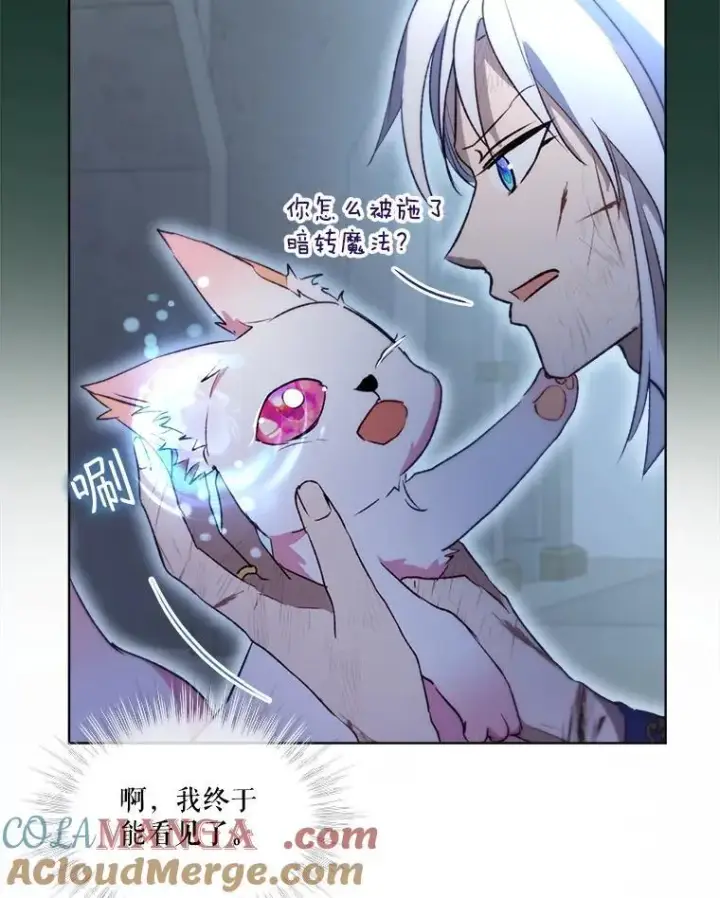 漫画《重生为神兽宝宝》42.意外的相遇第61张图