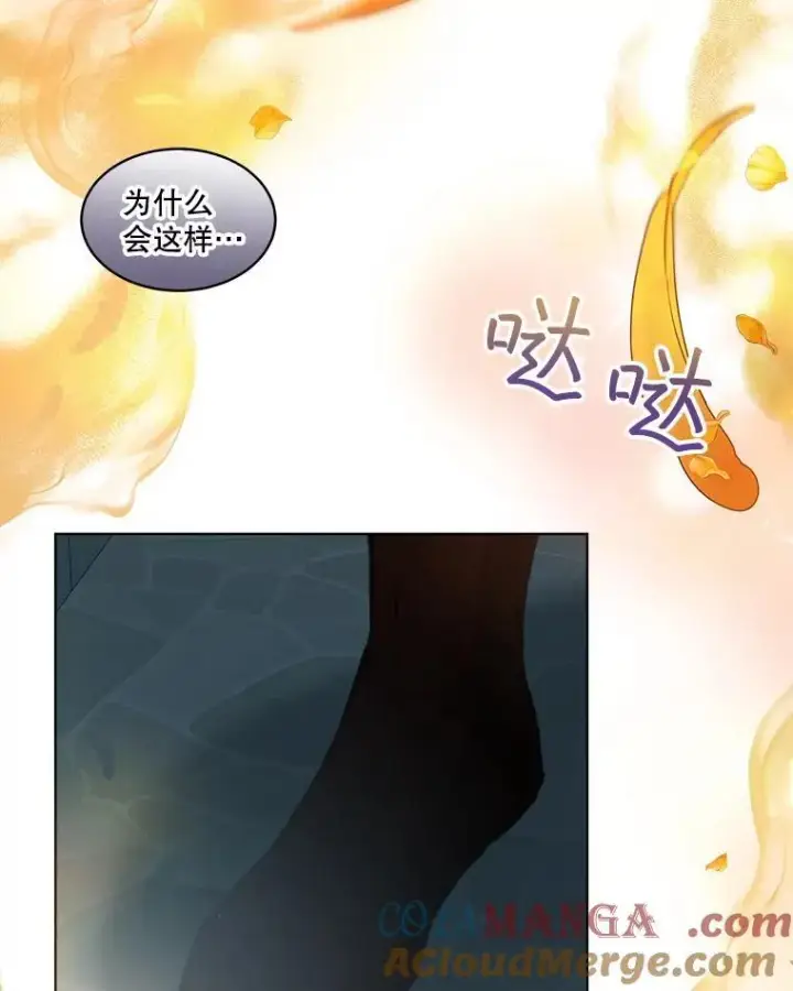 漫画《重生为神兽宝宝》42.意外的相遇第73张图