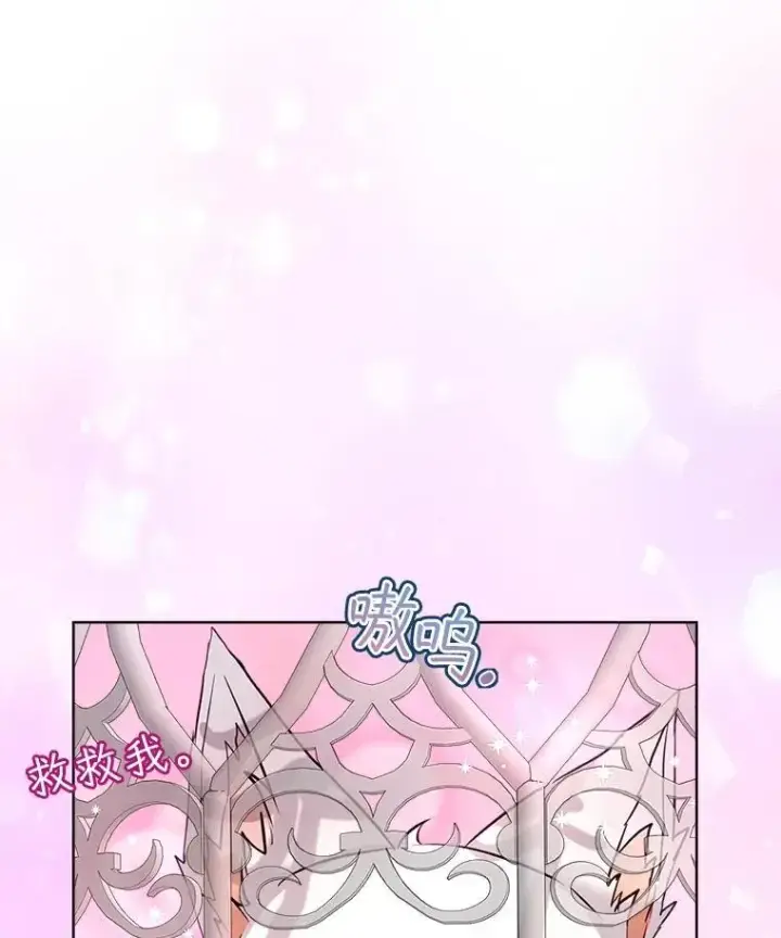 《重生为神兽宝宝》54.得到银狐（本季完）图26