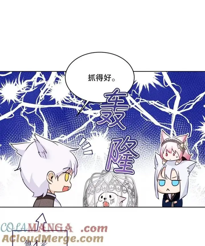《重生为神兽宝宝》54.得到银狐（本季完）图29