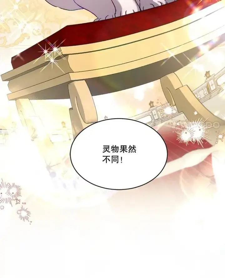 漫画《重生为神兽宝宝》56.假银狐第18张图