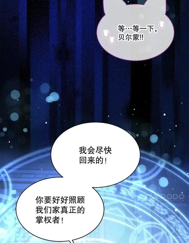 《重生为神兽宝宝》57.陪逛庆典图34