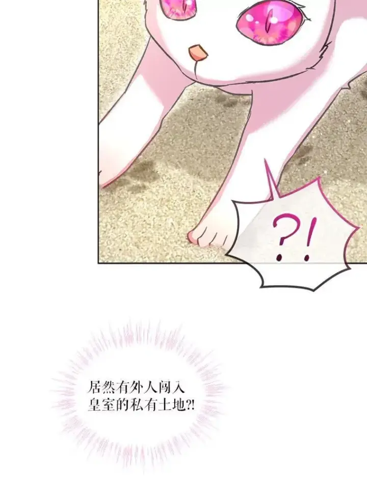 漫画《重生为神兽宝宝》76.毁掉他第67张图