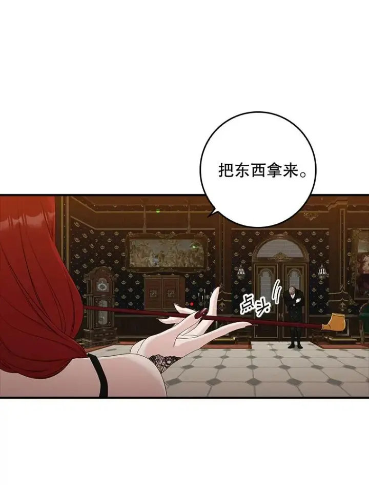 《专门对付恶棍》13.计划图11