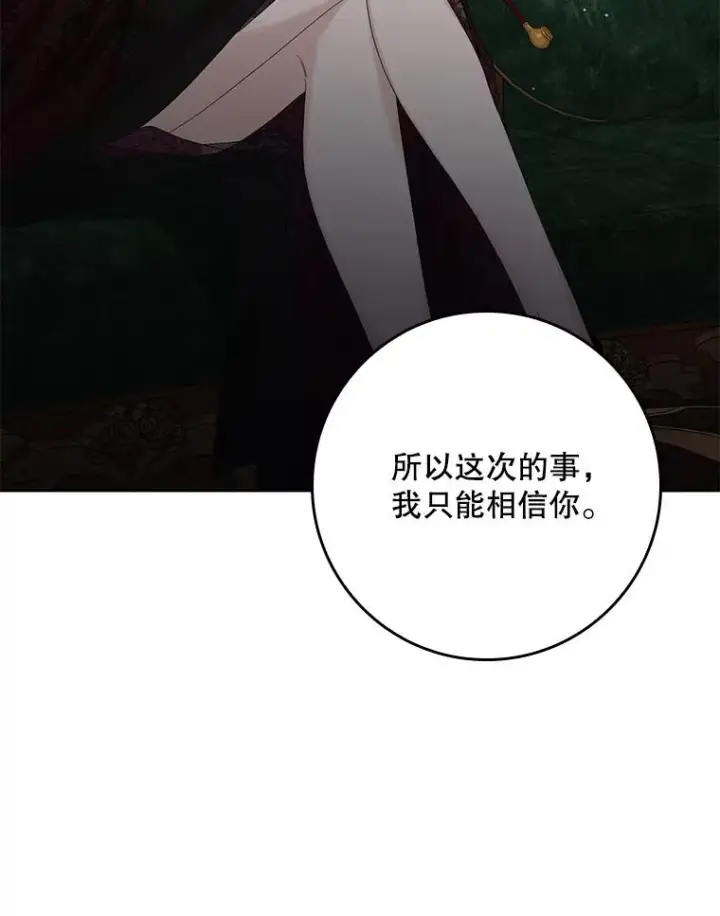 《专门对付恶棍》13.计划图26