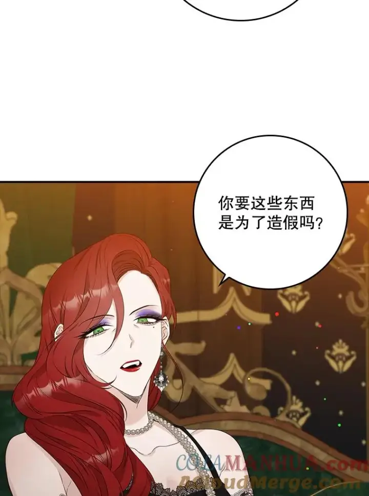 《专门对付恶棍》13.计划图33