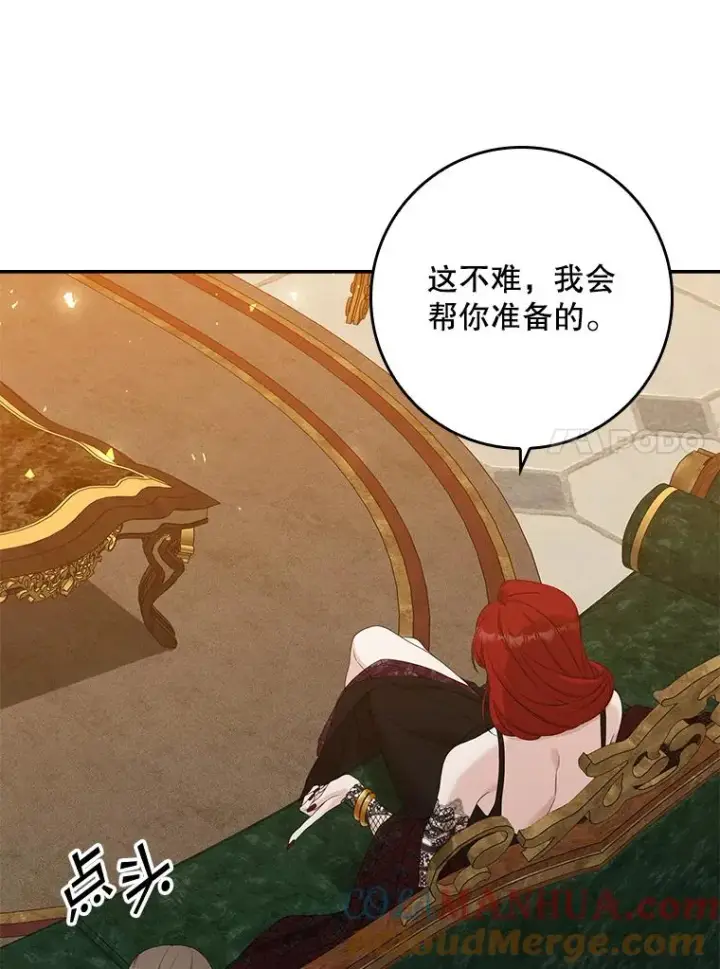 《专门对付恶棍》13.计划图37