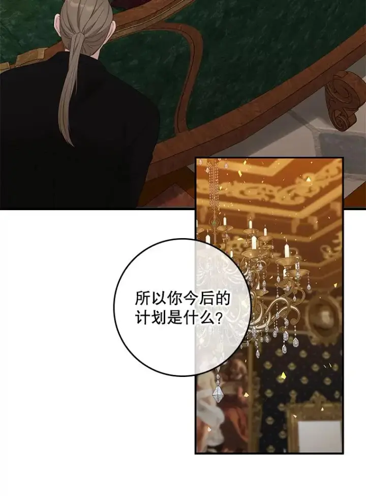 《专门对付恶棍》13.计划图38