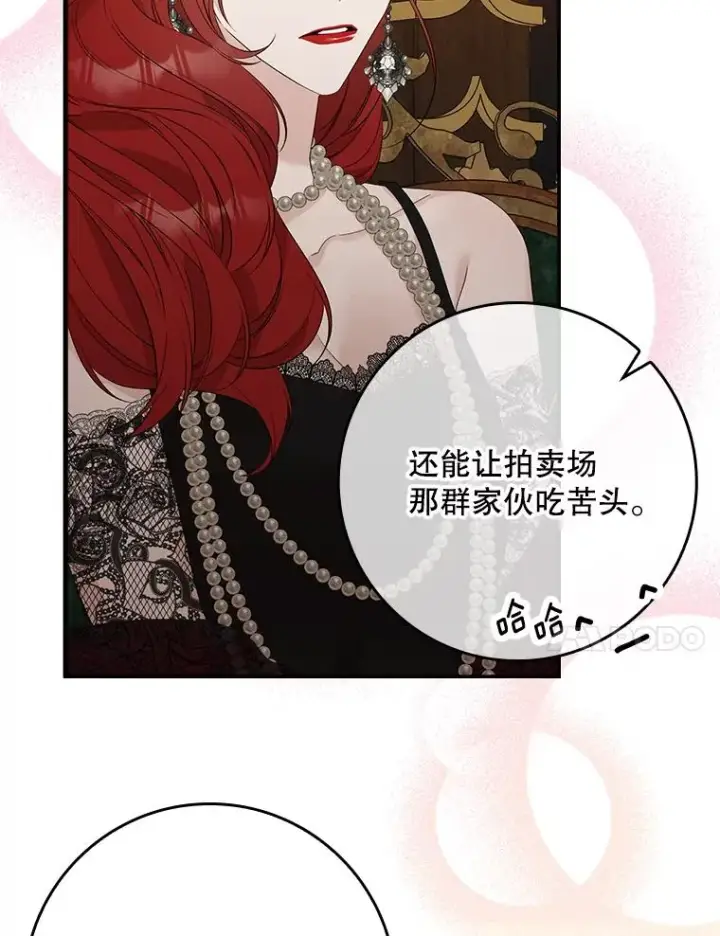 《专门对付恶棍》13.计划图40
