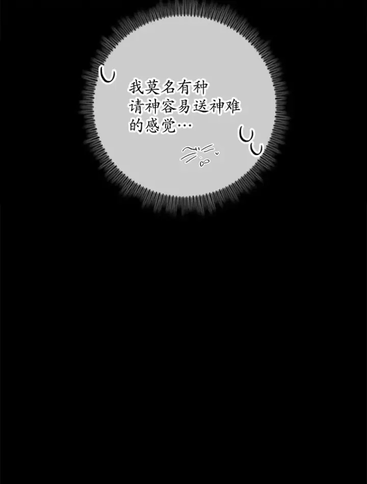 《专门对付恶棍》13.计划图70