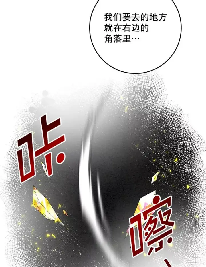 《专门对付恶棍》13.计划图94