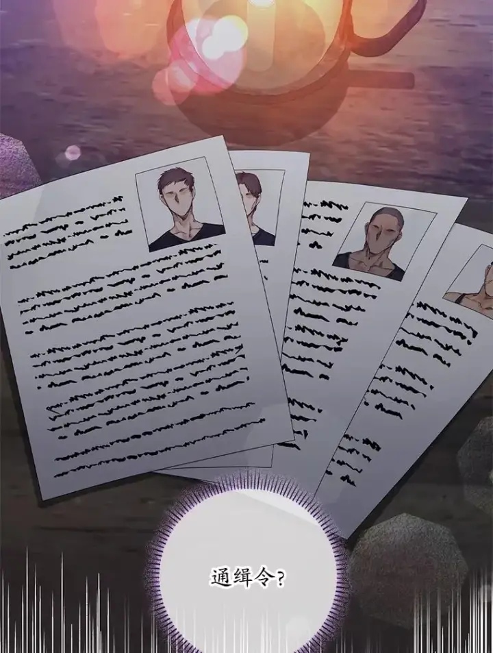 《专门对付恶棍》14.突袭图102