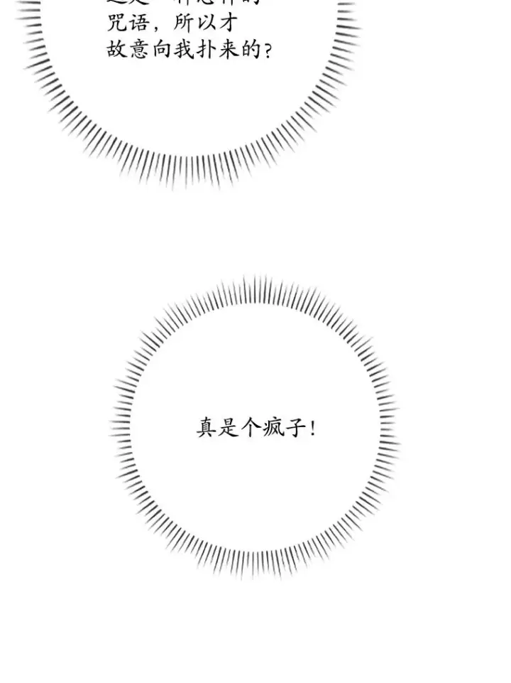 《专门对付恶棍》14.突袭图70