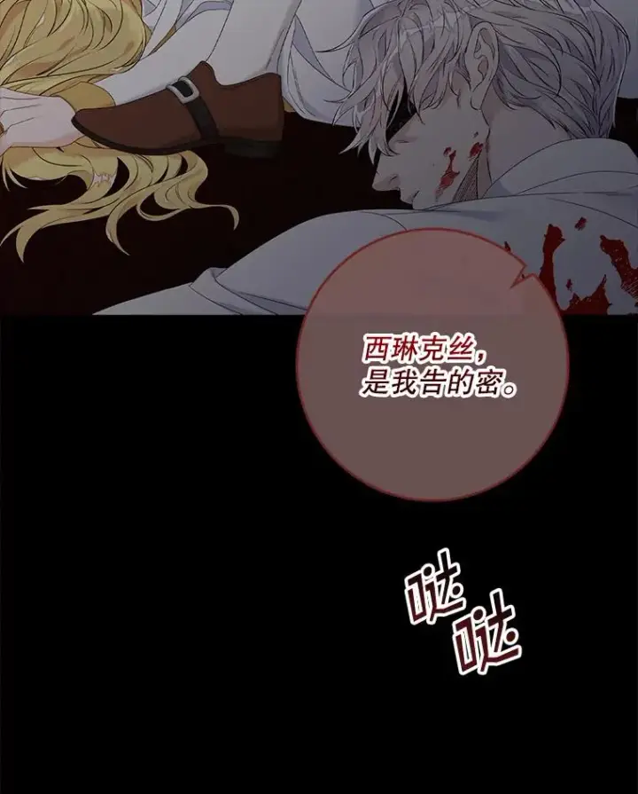 《专门对付恶棍》15.西琳克丝的身世图19
