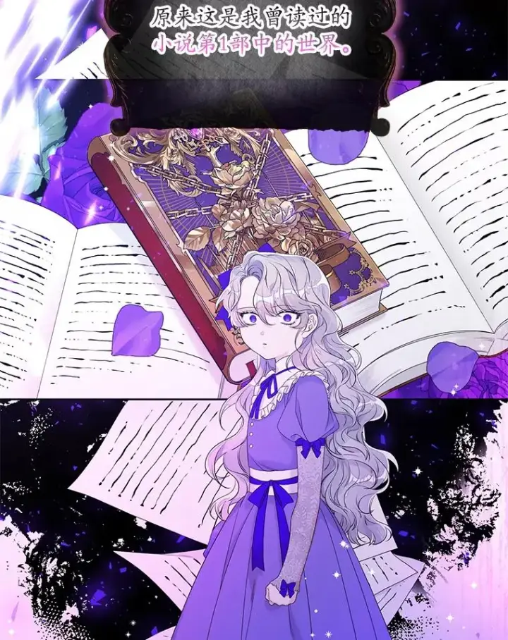 《专门对付恶棍》15.西琳克丝的身世图30