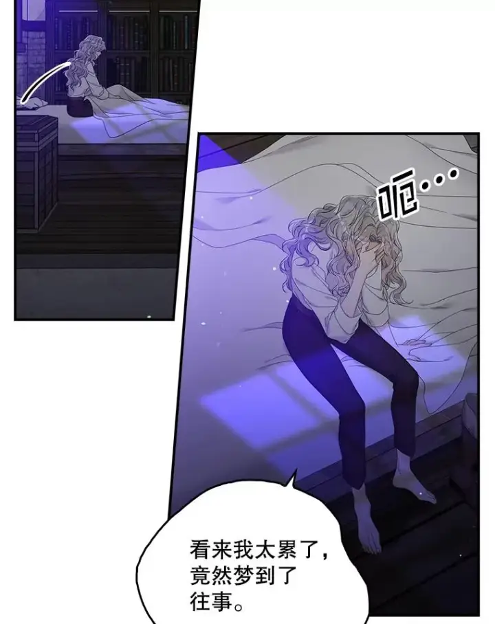 《专门对付恶棍》15.西琳克丝的身世图36