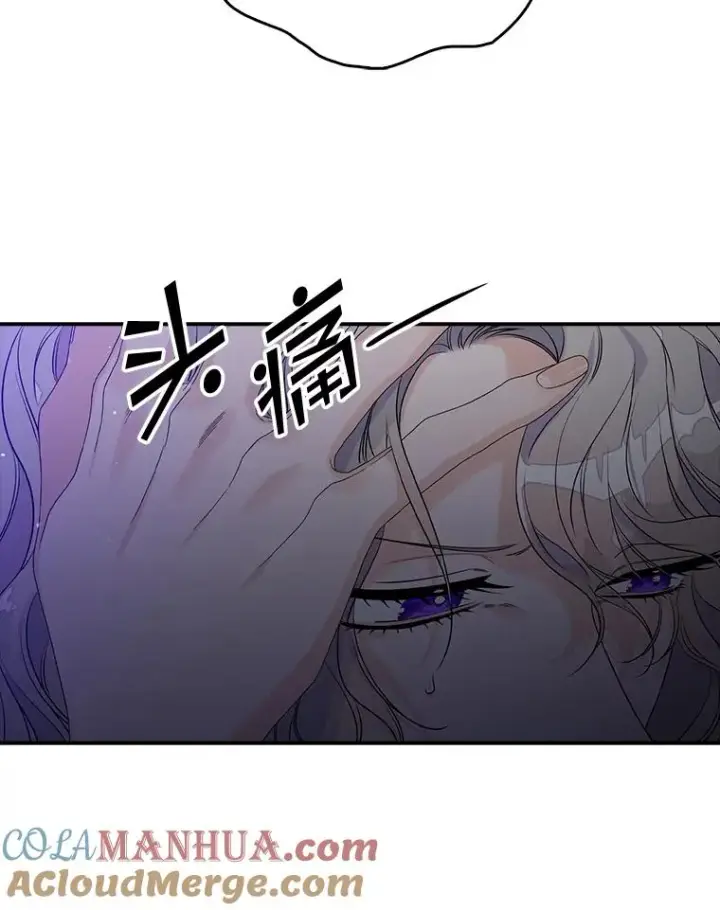 《专门对付恶棍》15.西琳克丝的身世图37