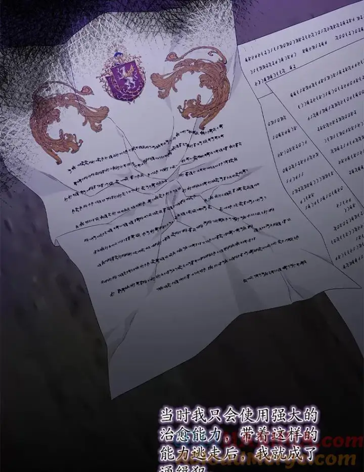 《专门对付恶棍》15.西琳克丝的身世图53