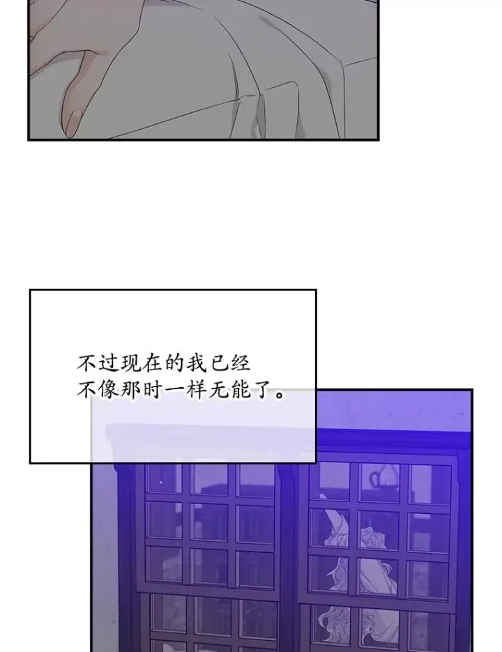 《专门对付恶棍》15.西琳克丝的身世图60