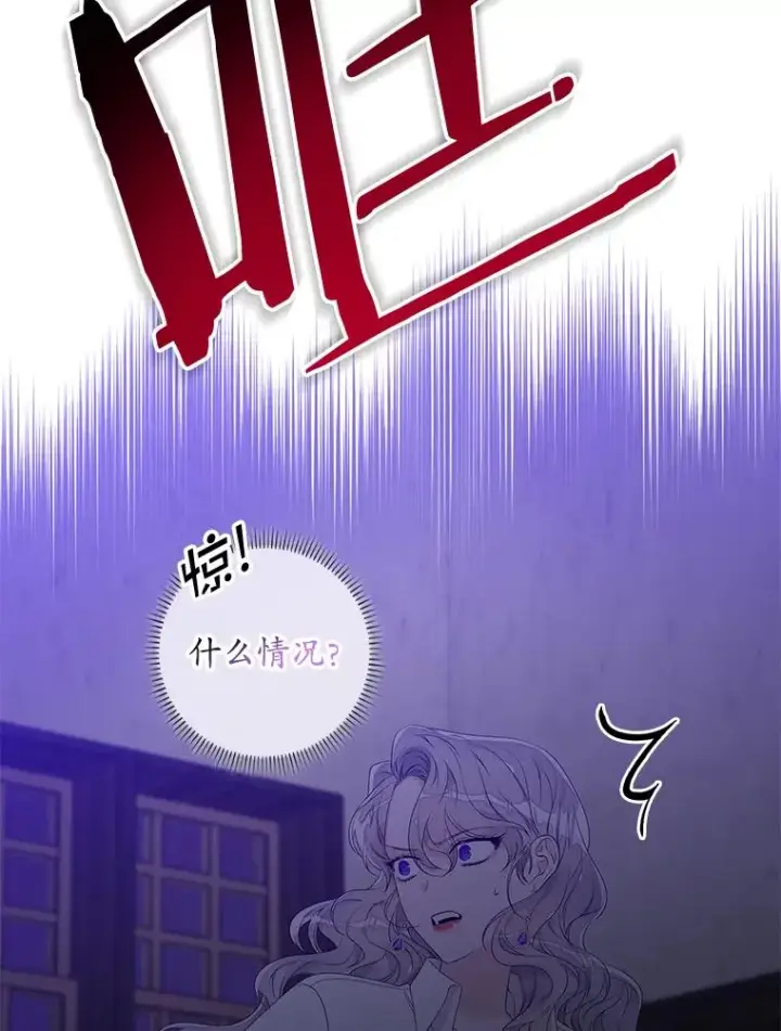 《专门对付恶棍》15.西琳克丝的身世图74