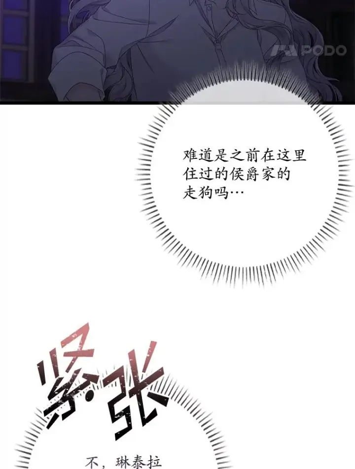 《专门对付恶棍》15.西琳克丝的身世图75