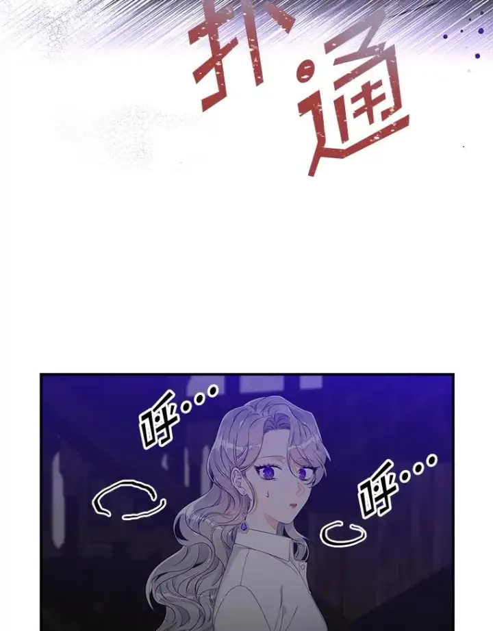 《专门对付恶棍》15.西琳克丝的身世图79