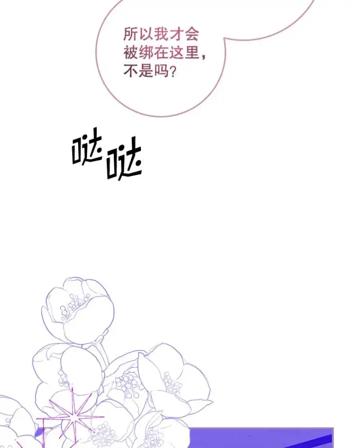 《专门对付恶棍》15.西琳克丝的身世图87