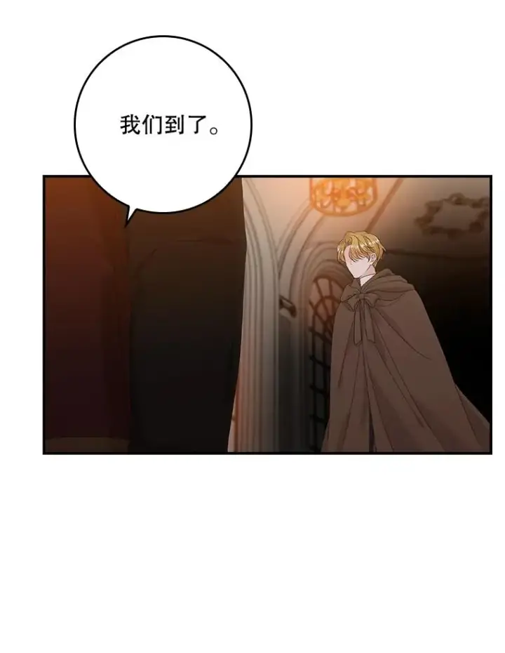 《专门对付恶棍》22.变数图82