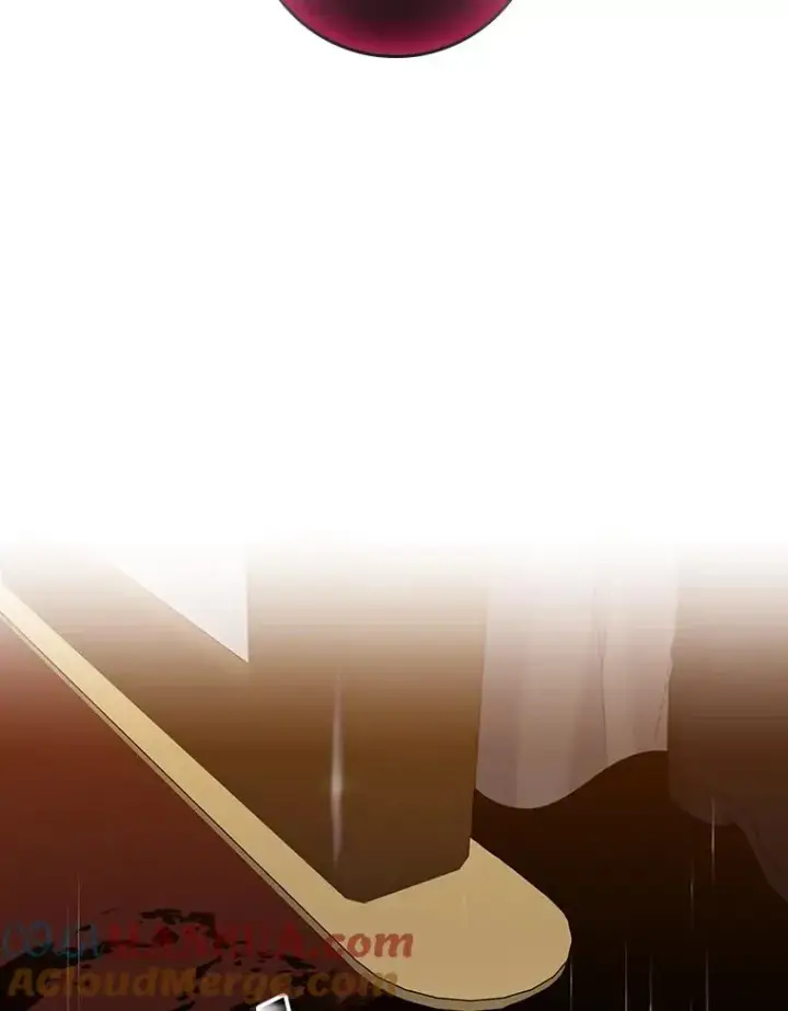 《专门对付恶棍》23.海姆达的协助图33