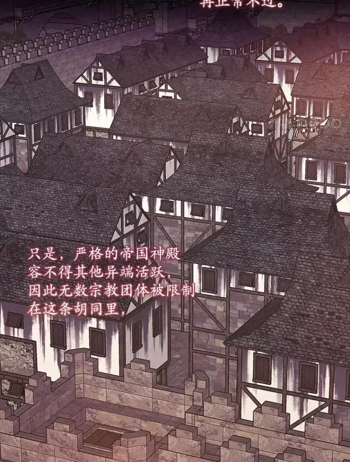 《专门对付恶棍》33.帕滋的去处图11