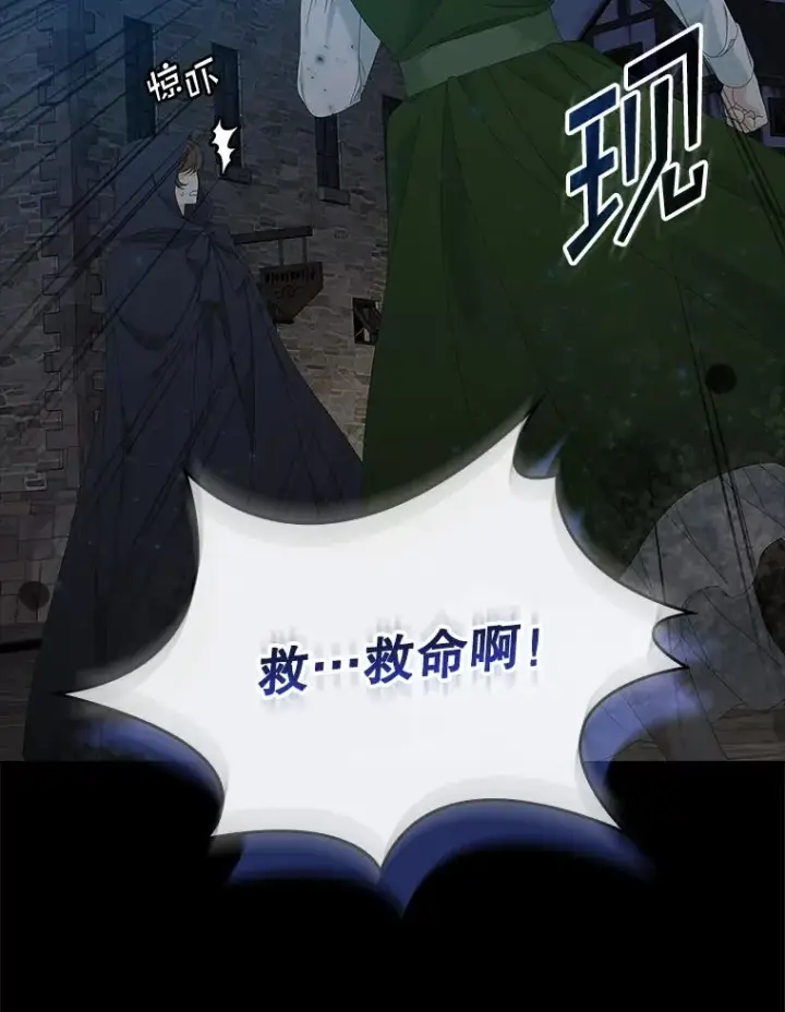 《专门对付恶棍》35.嫉妒的海姆达图100