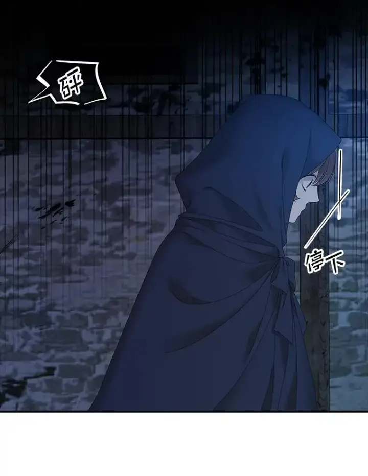 《专门对付恶棍》35.嫉妒的海姆达图115
