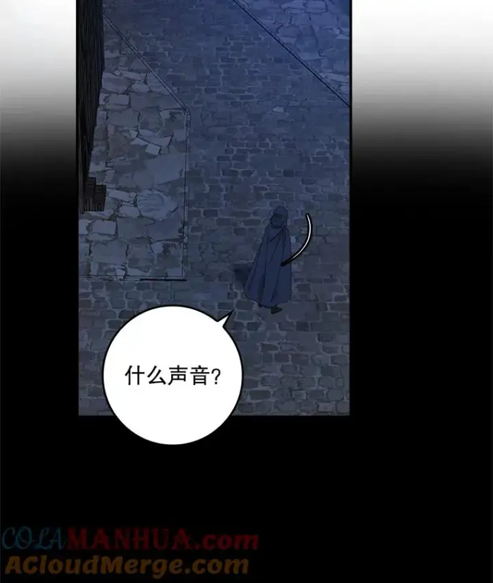 《专门对付恶棍》35.嫉妒的海姆达图117