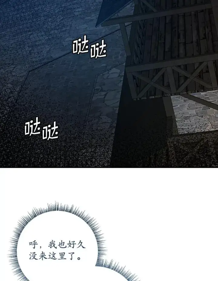 《专门对付恶棍》35.嫉妒的海姆达图95