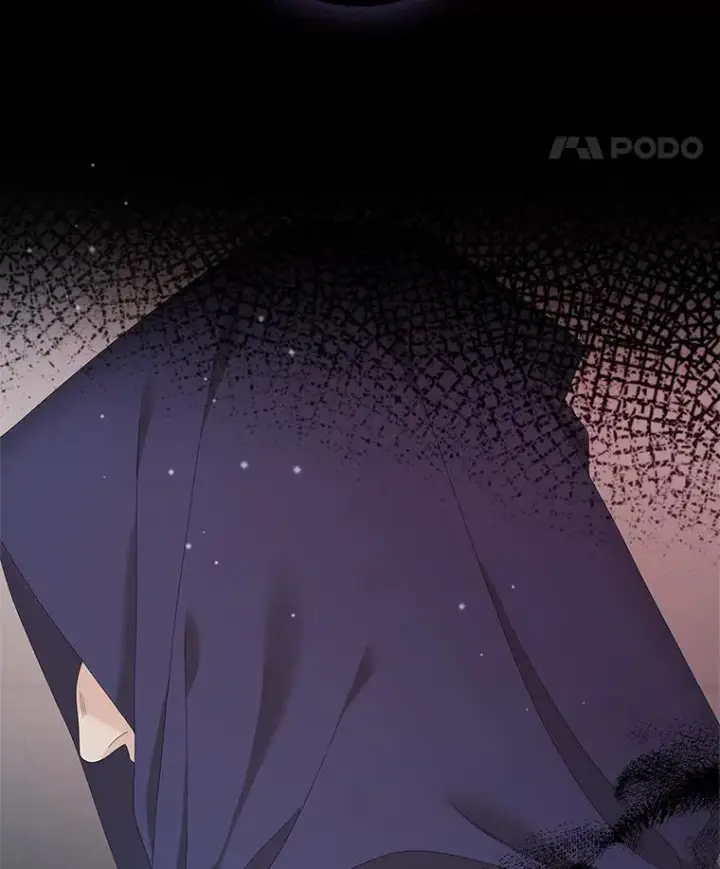 《专门对付恶棍》36.琳泰拉的委托图107