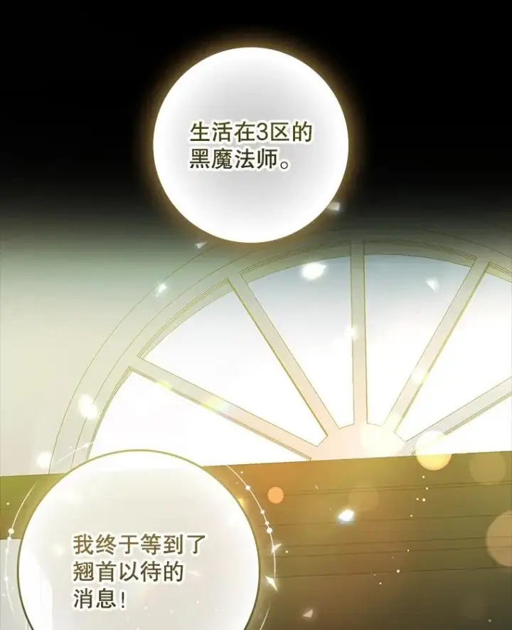 《专门对付恶棍》37.贵族小姐的邀请图12