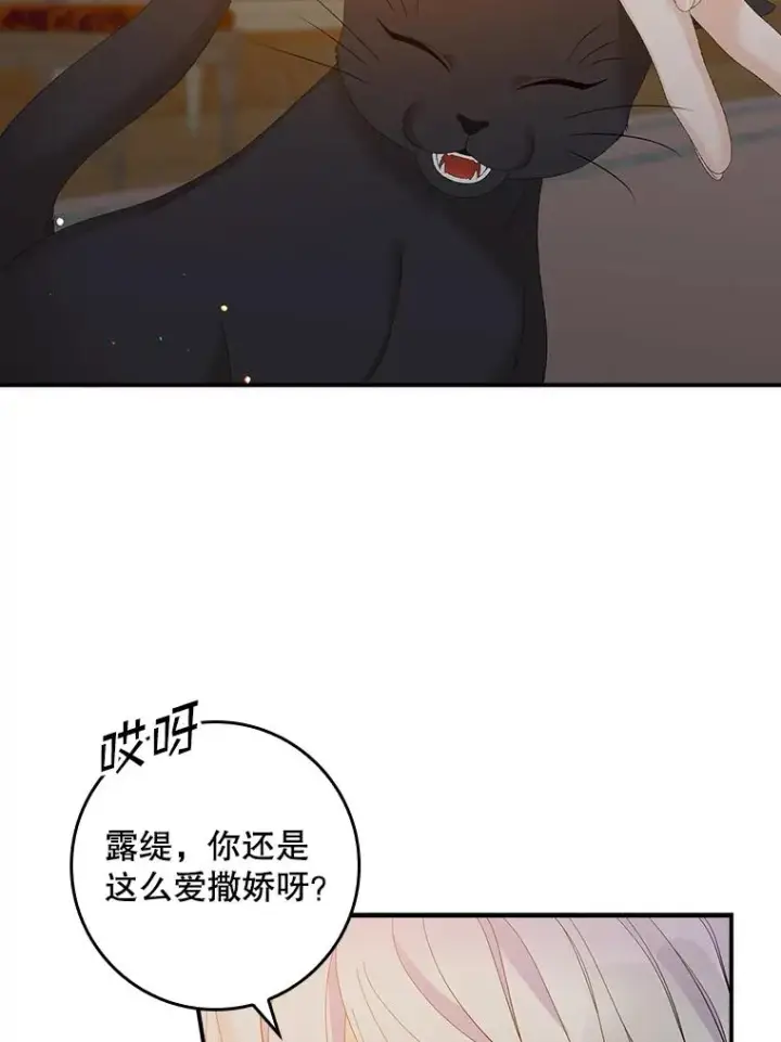 《专门对付恶棍》40.阿森纳的祝福图60