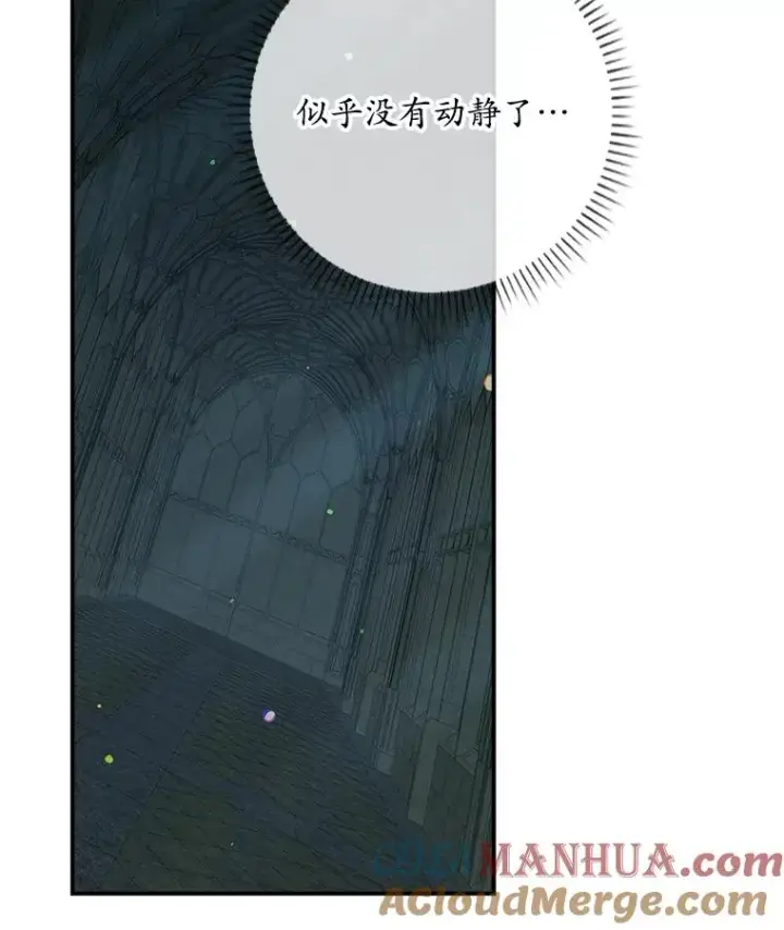 《专门对付恶棍》42.特定信徒的礼拜图29
