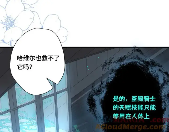 漫画《转生魔女养成了圣殿骑士》第十二话 魔法第73张图