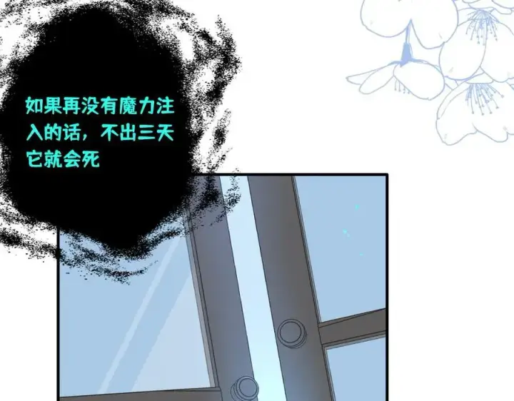 漫画《转生魔女养成了圣殿骑士》第十二话 魔法第75张图
