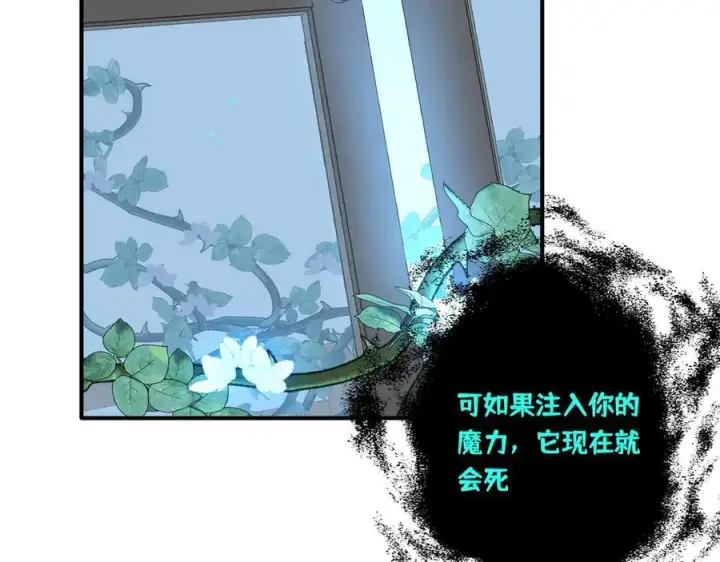 漫画《转生魔女养成了圣殿骑士》第十二话 魔法第76张图