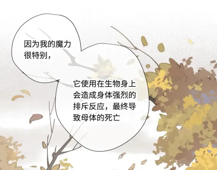 《转生魔女养成了圣殿骑士》第十三话 尼尔丝老师？图15