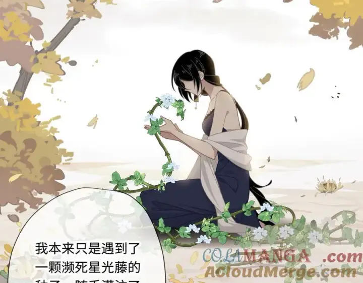 《转生魔女养成了圣殿骑士》第十三话 尼尔丝老师？图16