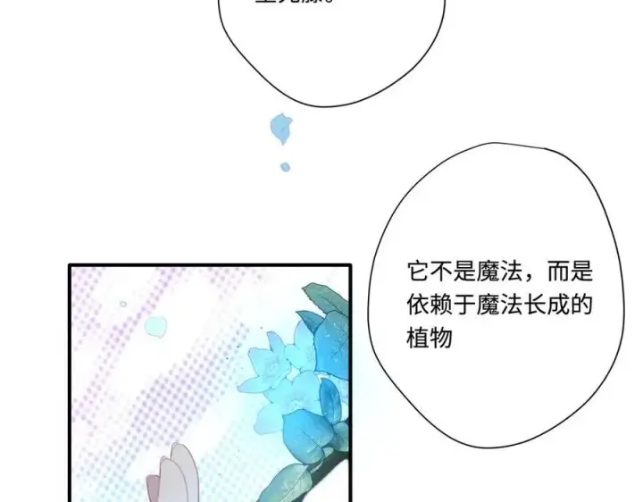 《转生魔女养成了圣殿骑士》第十三话 尼尔丝老师？图2